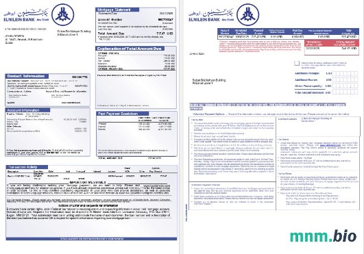 Sudan Al Neelen Bank wyciąg z kredytu hipotecznego w formatach Word i PDF, 3 strony 1-2